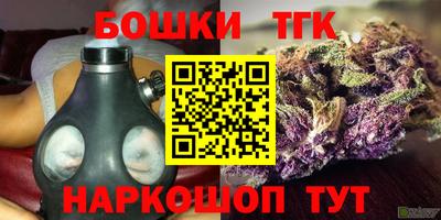 сатива Лесосибирск