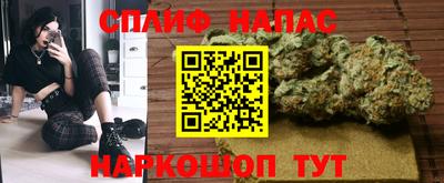 стаф Кулебаки