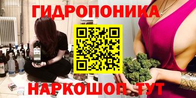 стаф Кулебаки