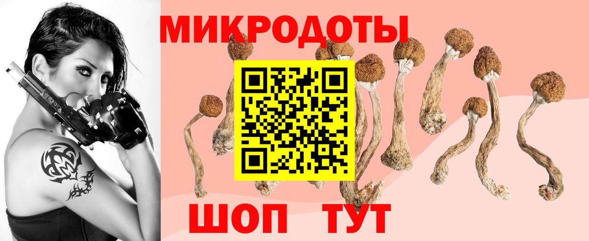 Ялуторовск  Псилоцибиновые грибы ЛСД  Псилоцибиновые грибы мухоморы  Вход с VPN 