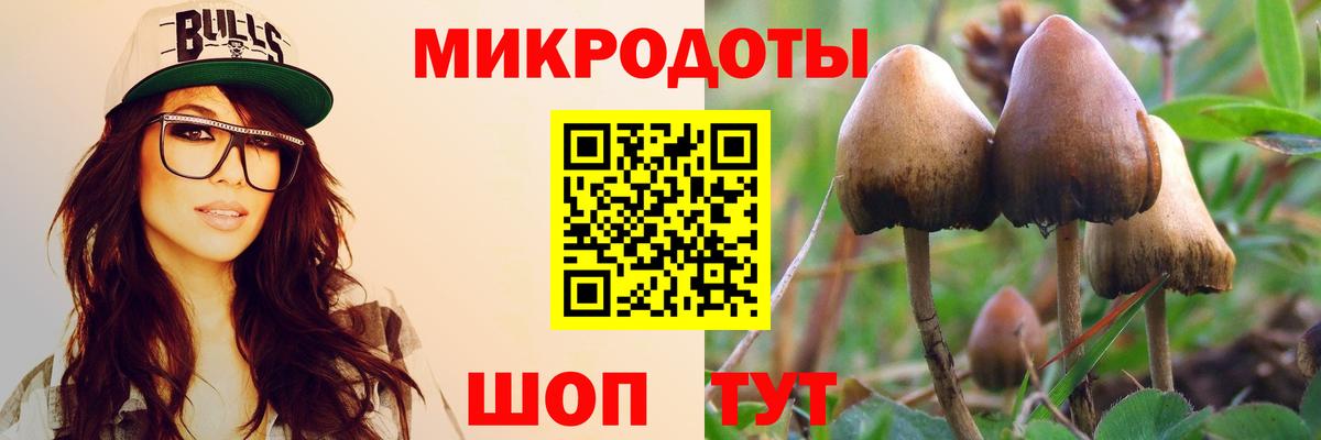 Галлюциногенные грибы Psilocybe Ялуторовск